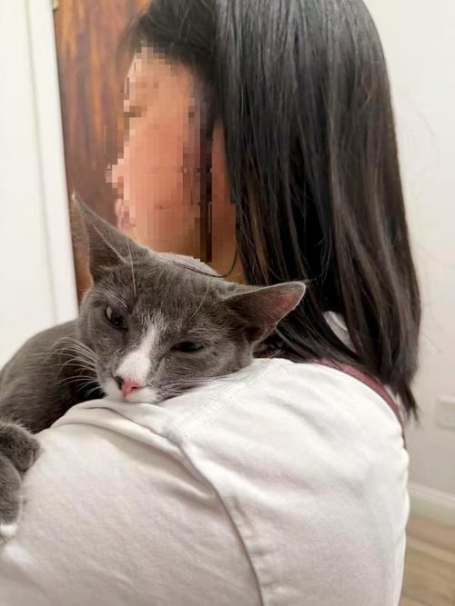 Photo 3 of Grey