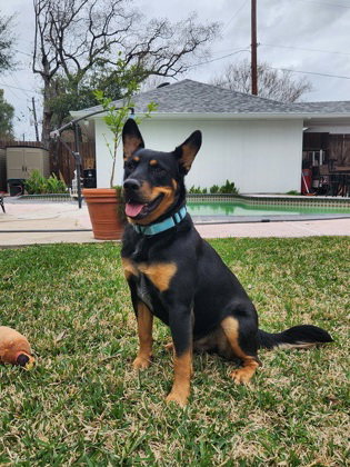 Max photo 2