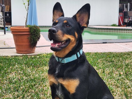 Max photo 4