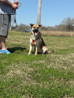 Crosby photo 2