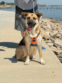 Crosby photo 3