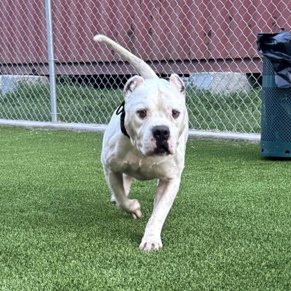 Otis photo 4
