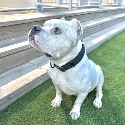 Otis photo 5