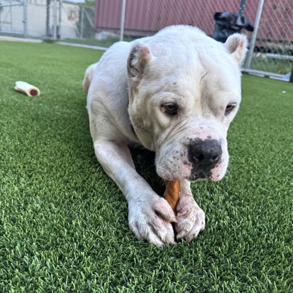 Otis photo 6