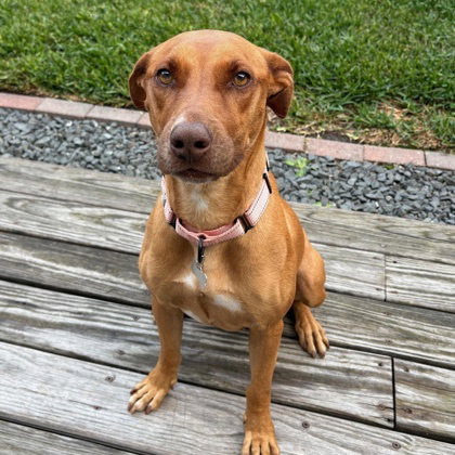 Penny photo 3