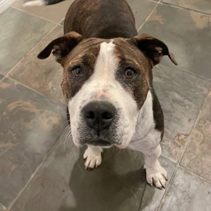 Maggie Mae