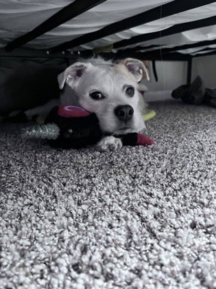 Coco photo 2