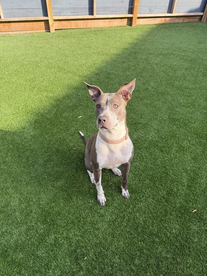 Luna photo 2