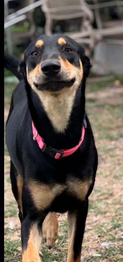 Mimi