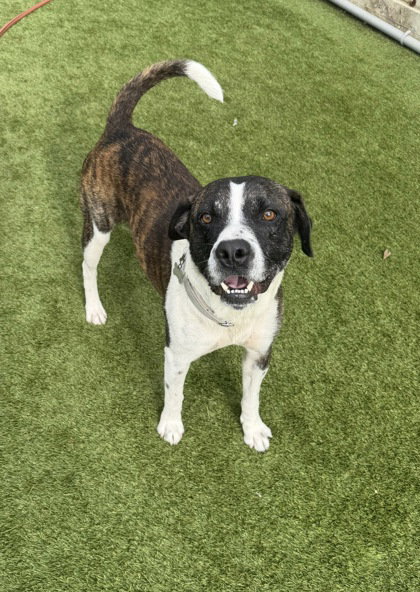 Odem