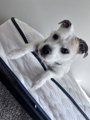 Coco photo 3