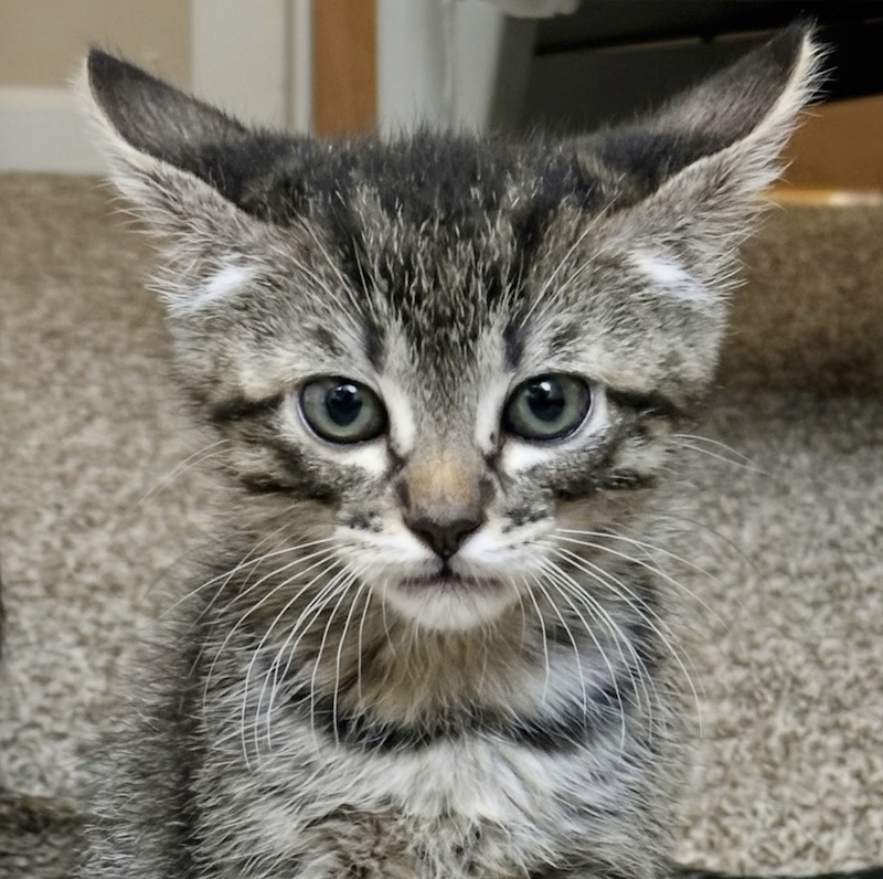 Binxy