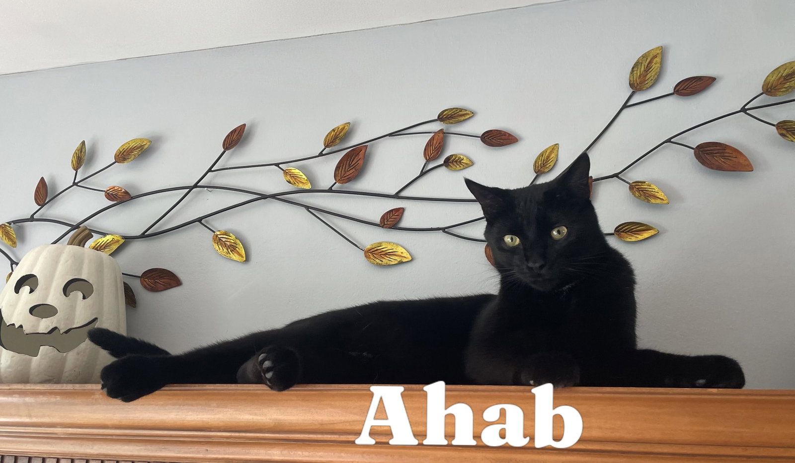 Ahab