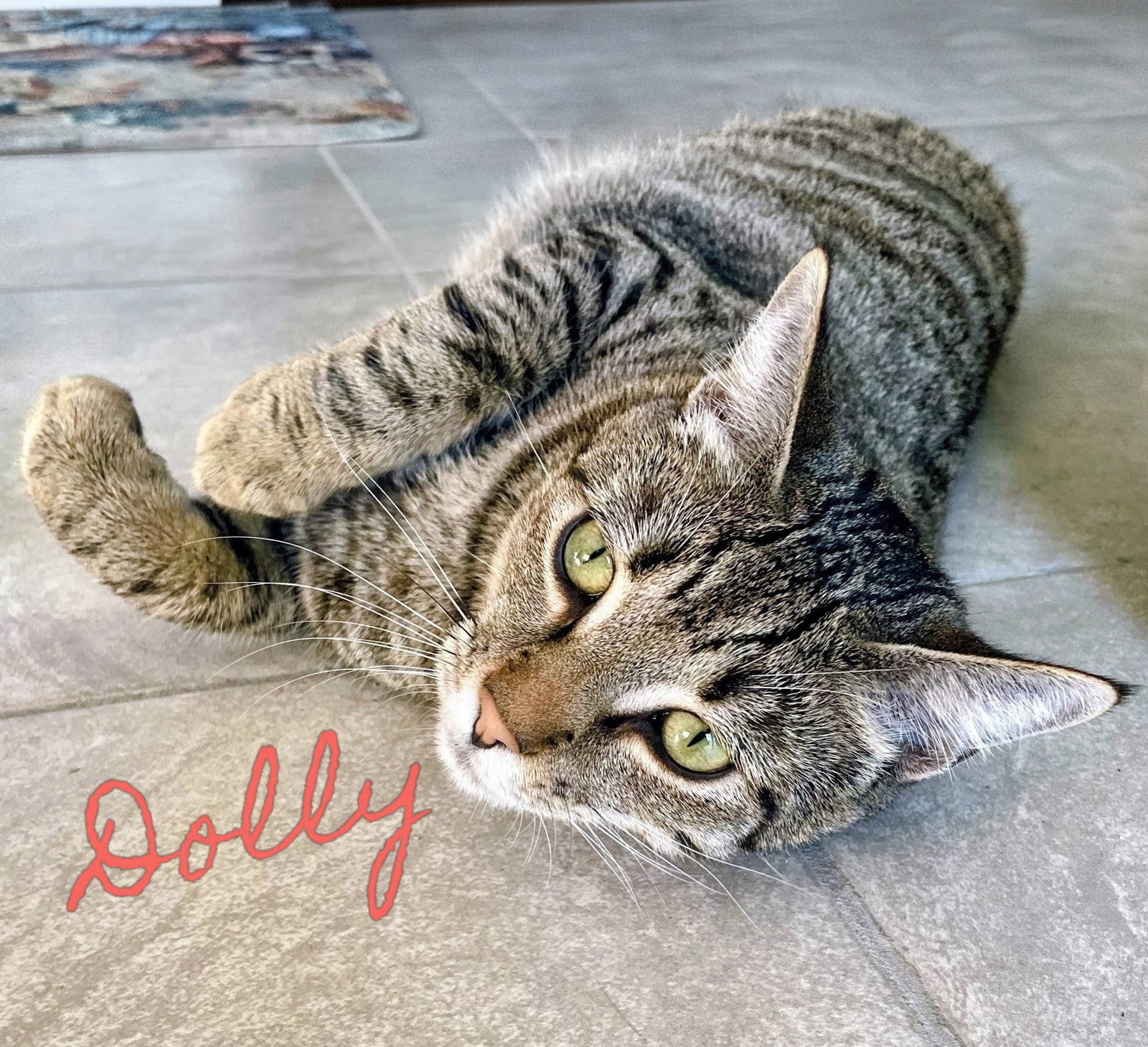 Dolly