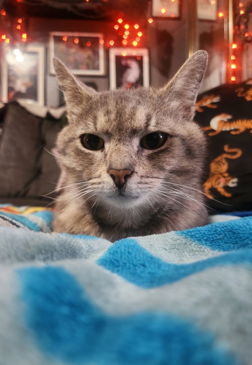 Romeo