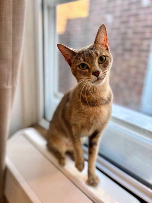 Millie