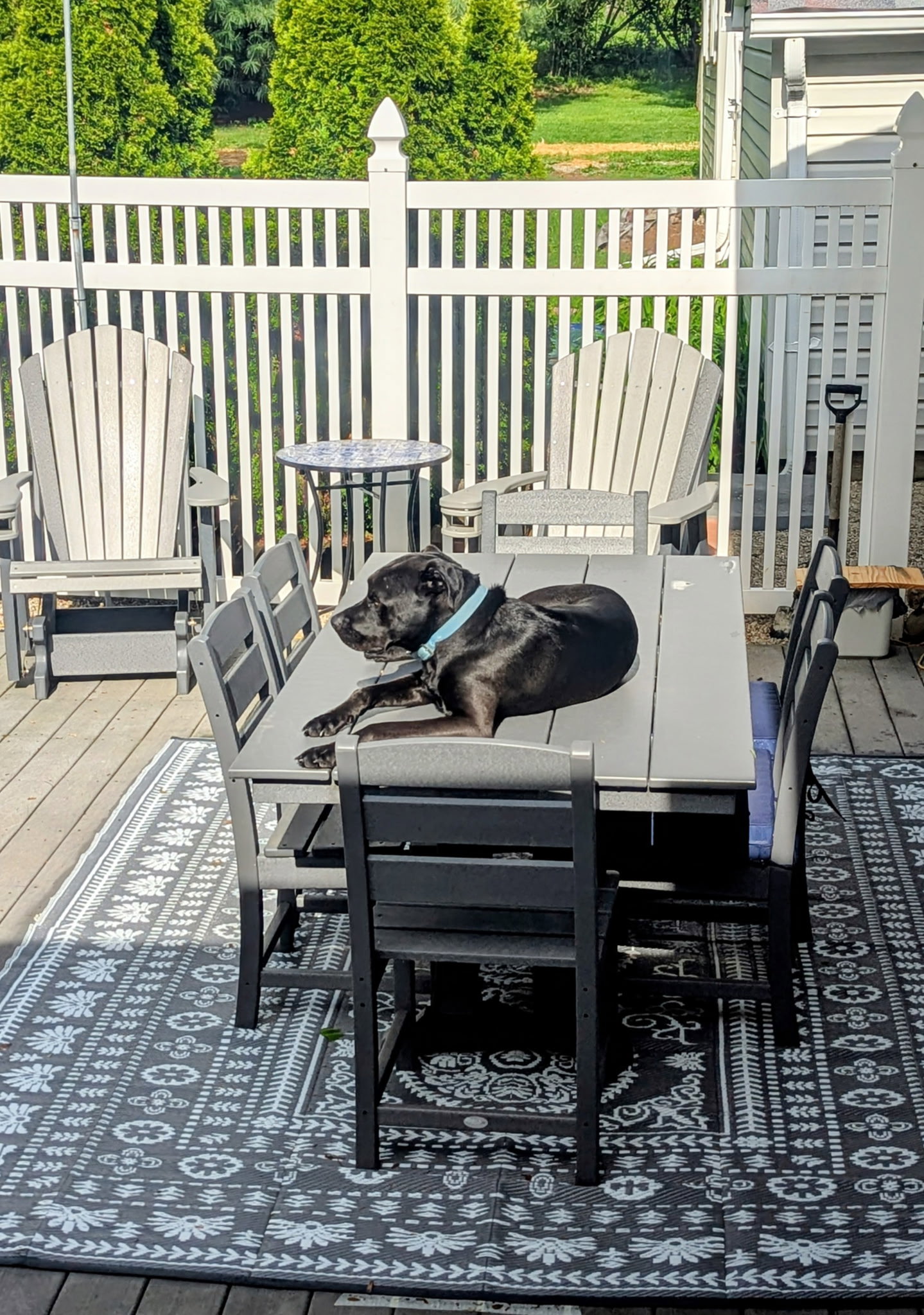 Tank, photo 7