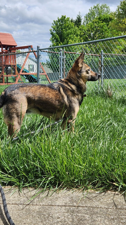 Photo 4 of Tula Bean