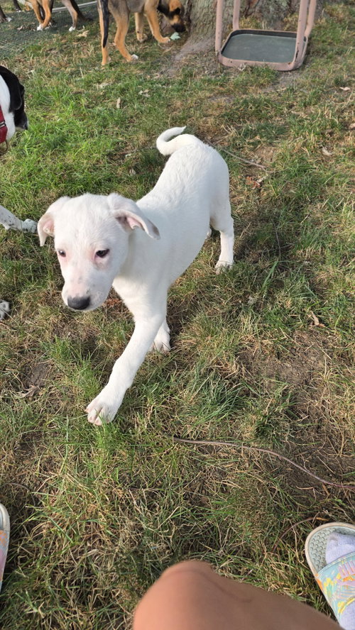 Photo 3 of Aphrodite