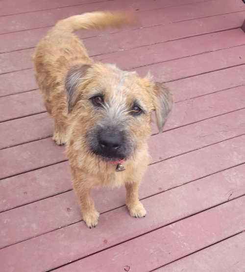 Photo 2 of Rupert