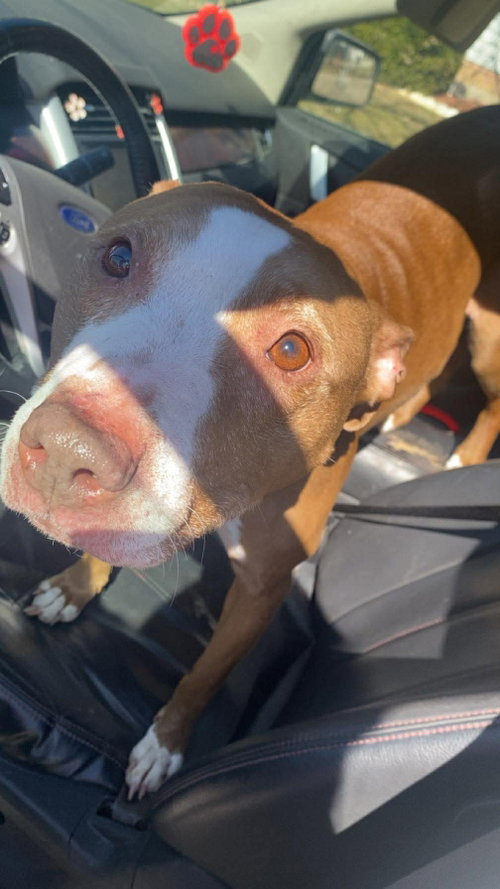 Maggie, photo 22