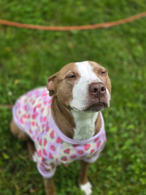 Maggie, photo 7