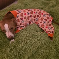 Maggie, photo 23