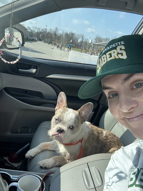 Chip, an adoptable French Bulldog in Cincinnati, OH