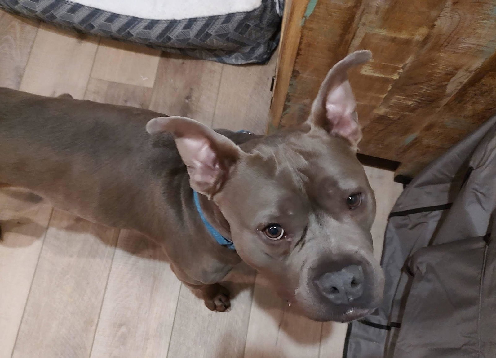 Murphy (formerly known as Morgan), photo 8