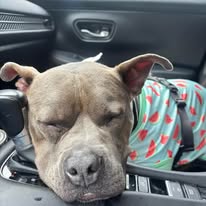 Murphy (formerly known as Morgan), photo 11