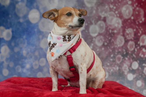 Baby Girl photo 5