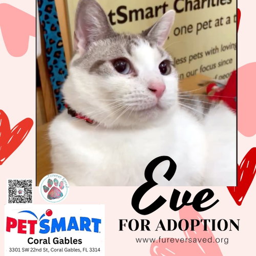 Photo 2 of Eve