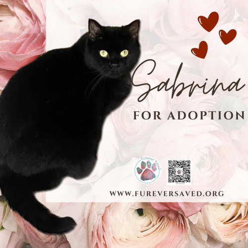 Photo 3 of Sabrina