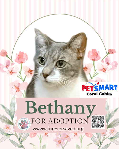 Bethany