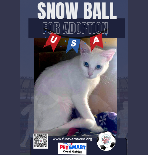 Snow White photo 3