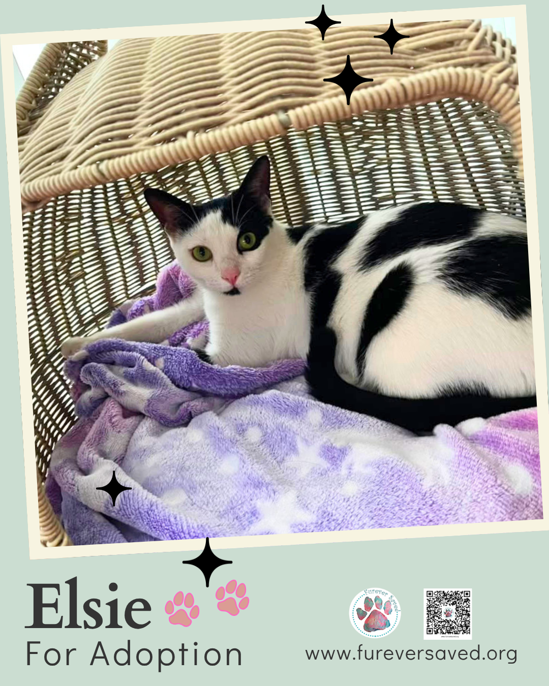 Elsie, photo 3