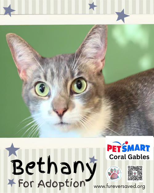 Photo 2 of Bethany