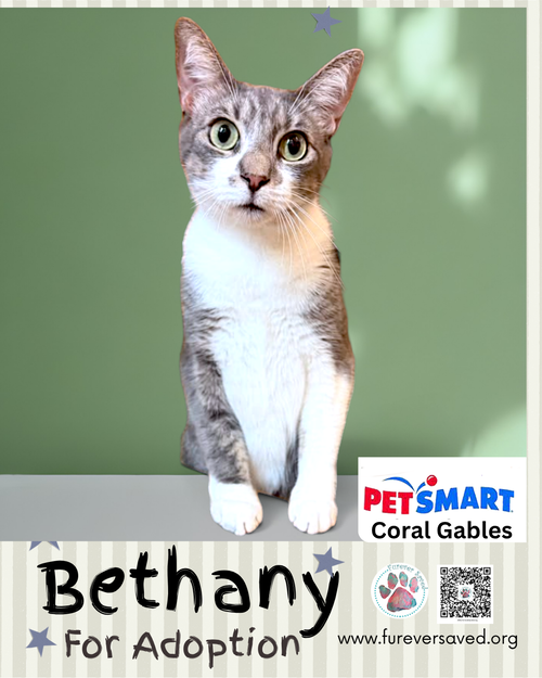 Photo 3 of Bethany