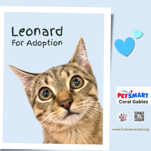 Photo 2 of Leonard