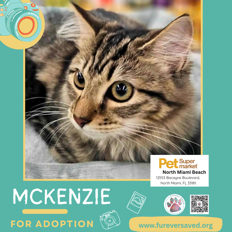 McKenzie, photo 2