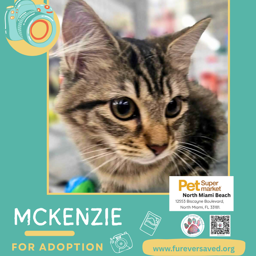 Photo 3 of McKenzie