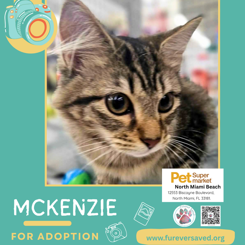 McKenzie, photo 3