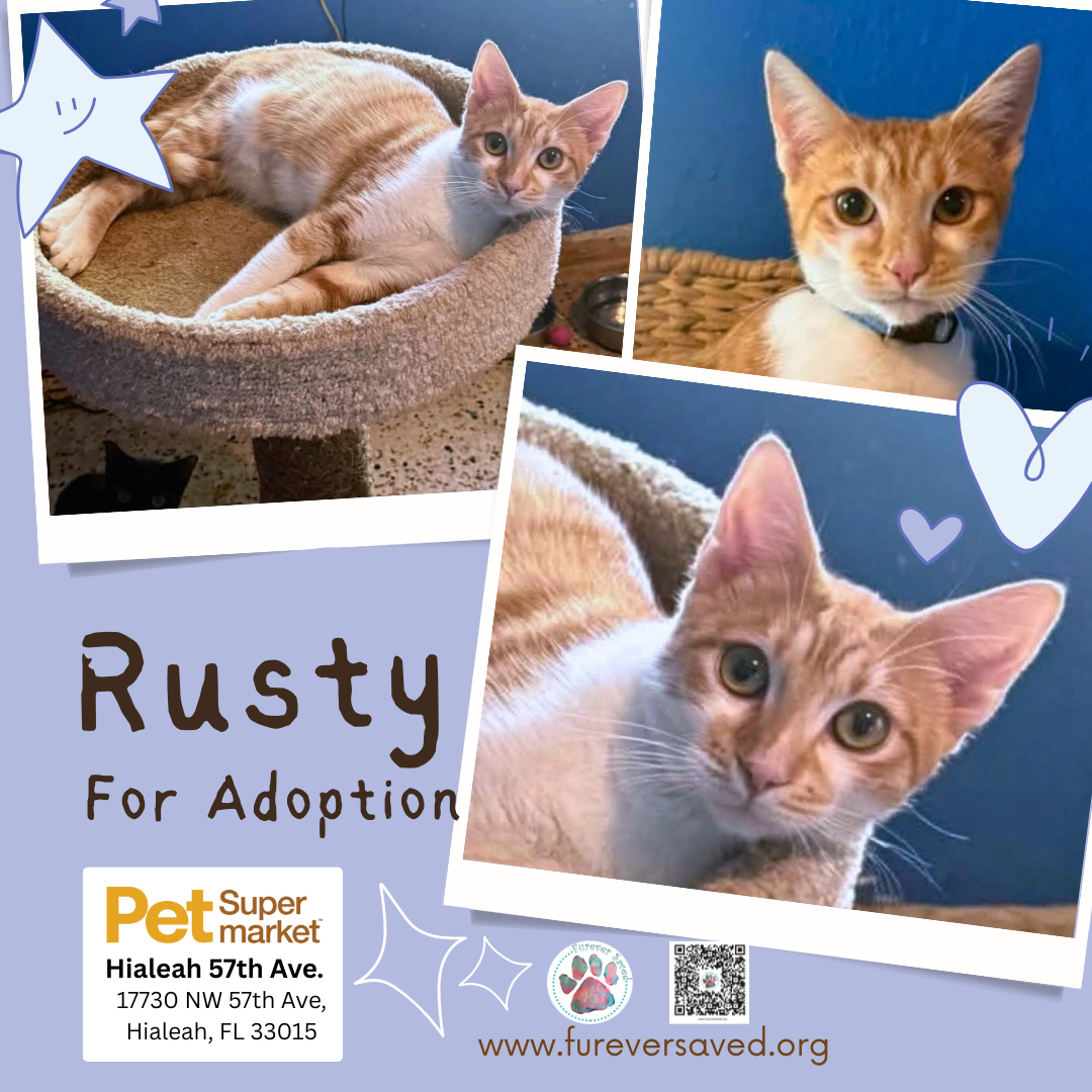 Rusty