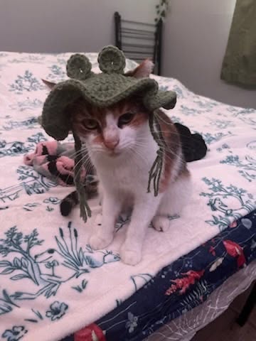 Geraldine, photo 3