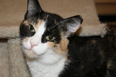 Mollie - Visit Me!