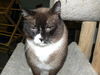 Mr. Mocha
