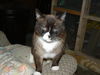 Mr. Mocha