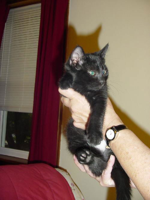 Missy