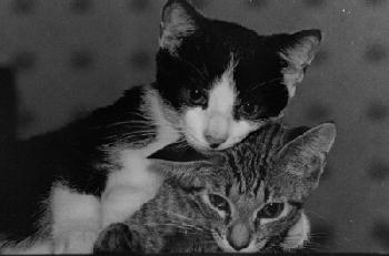 Mr.Fuzzy and Pinky