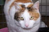Rosie- UPDATED